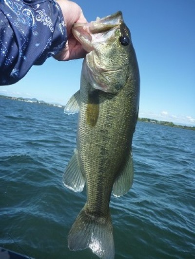 truth news ブログ写真 2014/09/14