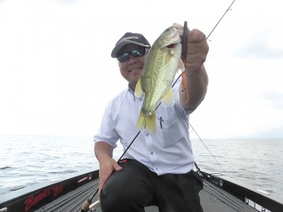 truth news ブログ写真 2014/09/16