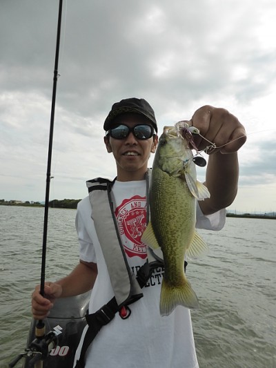 truth news ブログ写真 2014/09/18