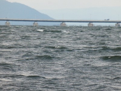 truth news ブログ写真 2014/09/18