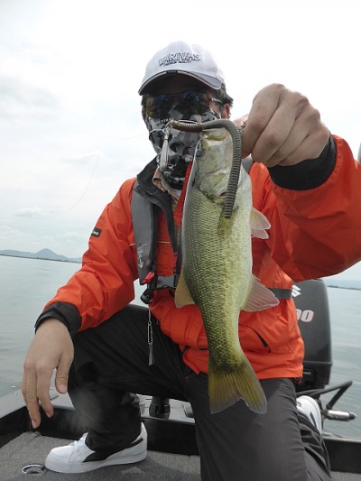 truth news ブログ写真 2014/09/19