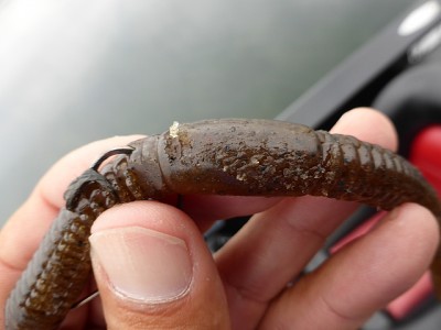 truth news ブログ写真 2014/09/19