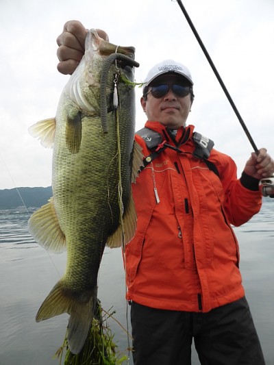 truth news ブログ写真 2014/09/19