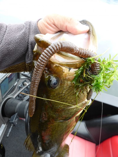 truth news ブログ写真 2014/09/19