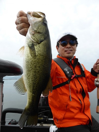 truth news ブログ写真 2014/09/19