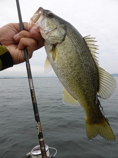 truth news ブログ写真 2014/09/19