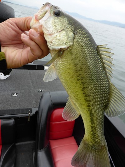 truth news ブログ写真 2014/09/19