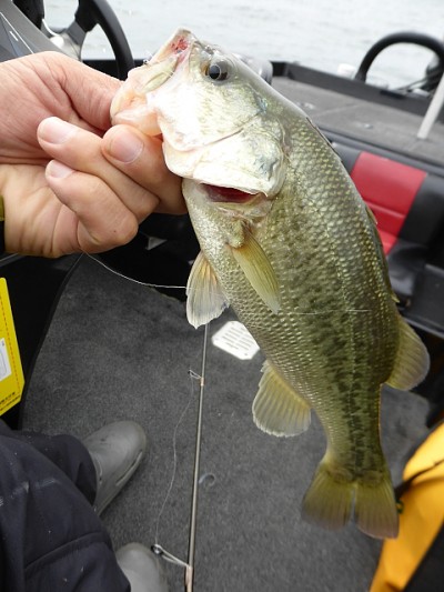 truth news ブログ写真 2014/09/19