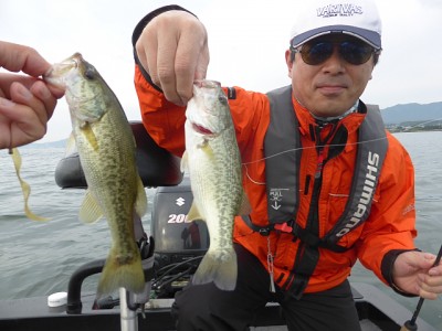 truth news ブログ写真 2014/09/19