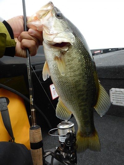 truth news ブログ写真 2014/09/19