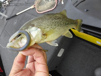 truth news ブログ写真 2014/09/19