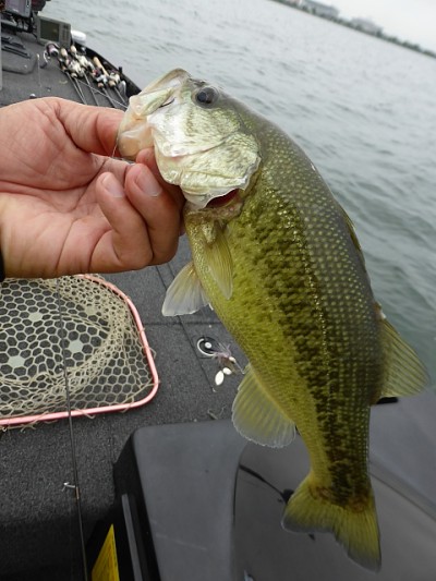 truth news ブログ写真 2014/09/19