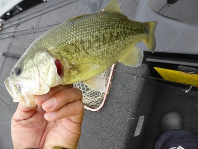 truth news ブログ写真 2014/09/19