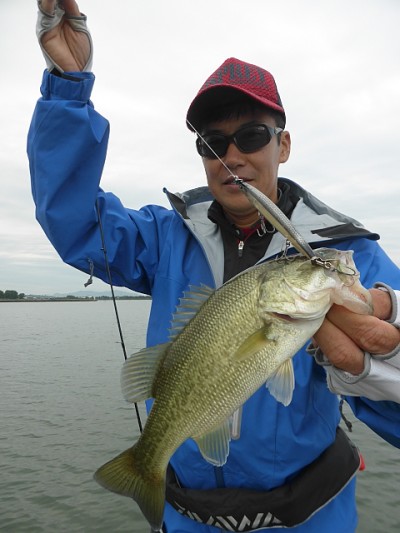 truth news ブログ写真 2014/09/21