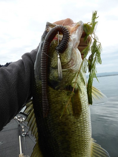 truth news ブログ写真 2014/09/21