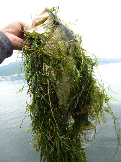 truth news ブログ写真 2014/09/21