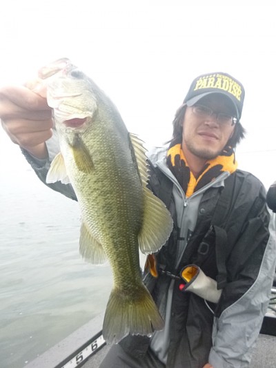 truth news ブログ写真 2014/09/24