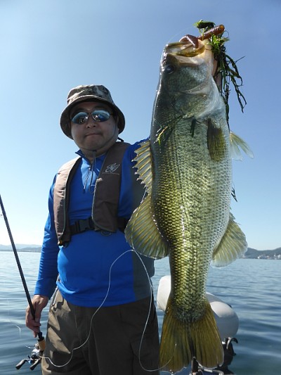 truth news ブログ写真 2014/09/27