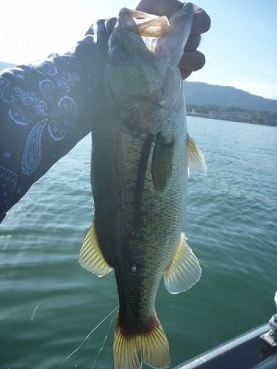 truth news ブログ写真 2014/09/27