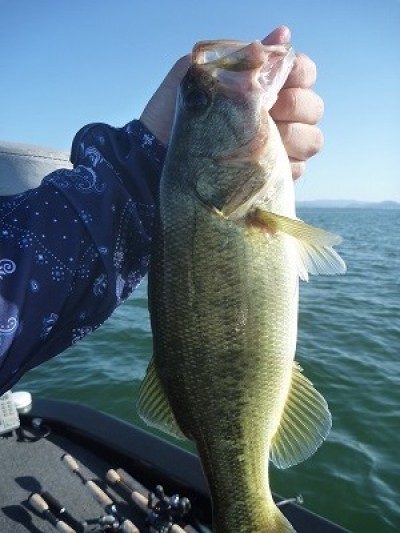 truth news ブログ写真 2014/09/27