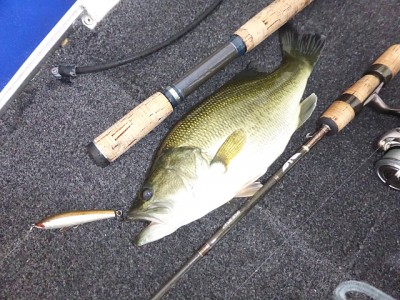 truth news ブログ写真 2014/10/03