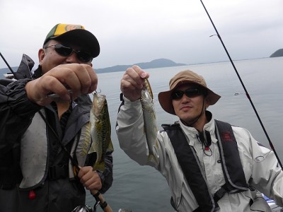 truth news ブログ写真 2014/10/03