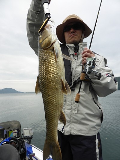 truth news ブログ写真 2014/10/03