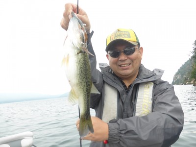 truth news ブログ写真 2014/10/03