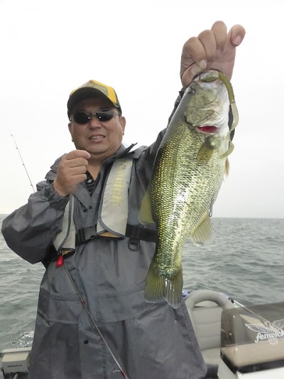 truth news ブログ写真 2014/10/03