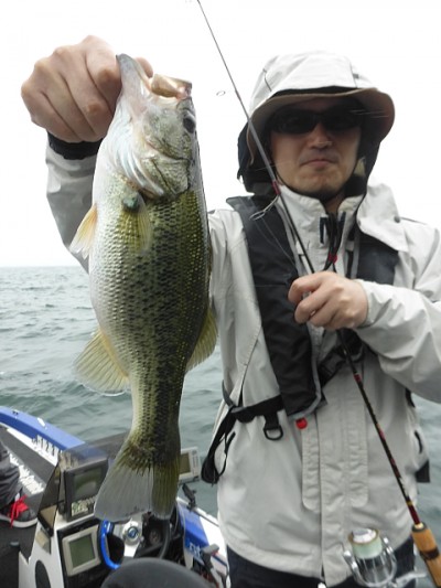 truth news ブログ写真 2014/10/03