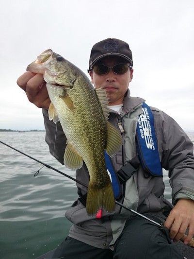 truth news ブログ写真 2014/10/06