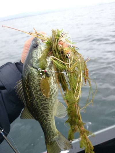 truth news ブログ写真 2014/10/06