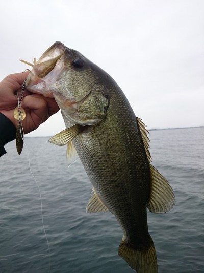 truth news ブログ写真 2014/10/06