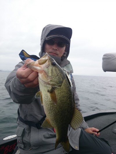 truth news ブログ写真 2014/10/06