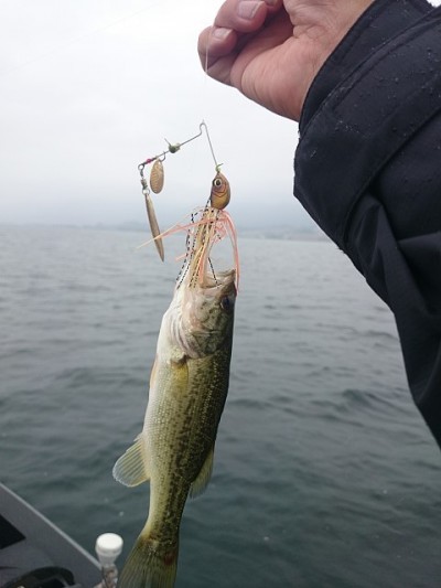 truth news ブログ写真 2014/10/06