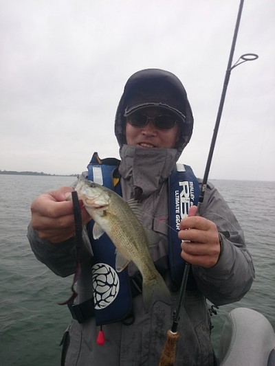 truth news ブログ写真 2014/10/06