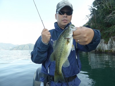 truth news ブログ写真 2014/10/08