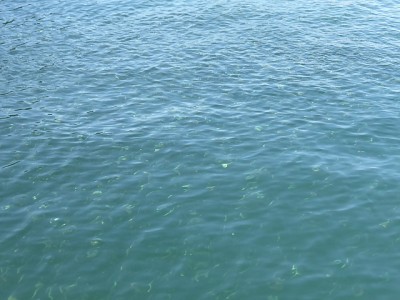 truth news ブログ写真 2014/10/08