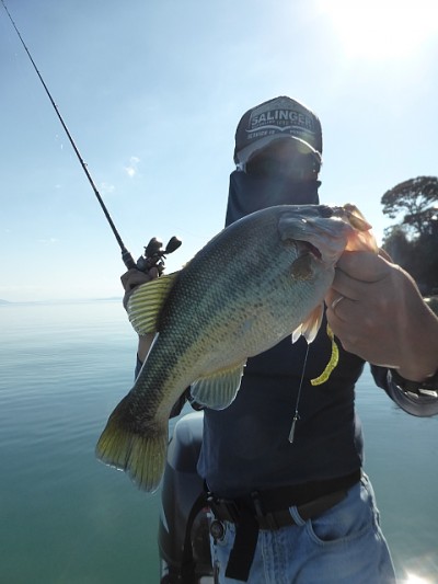 truth news ブログ写真 2014/10/08