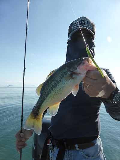 truth news ブログ写真 2014/10/08