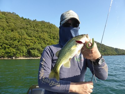 truth news ブログ写真 2014/10/08