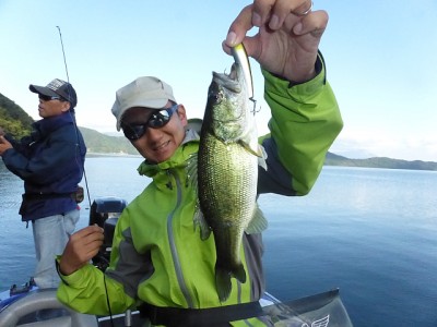 truth news ブログ写真 2014/10/08