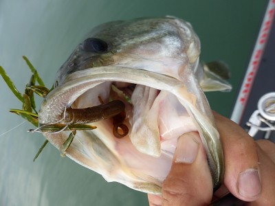 truth news ブログ写真 2014/10/09