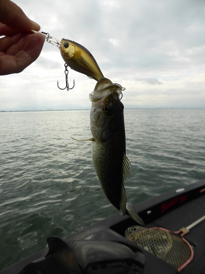 truth news ブログ写真 2014/10/09