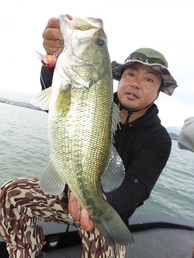 truth news ブログ写真 2014/10/09