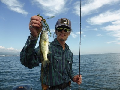 truth news ブログ写真 2014/10/10