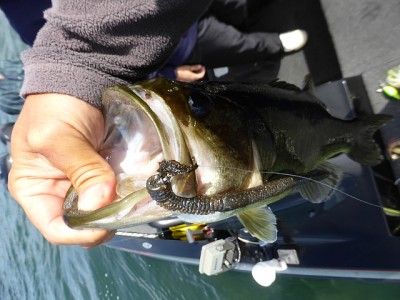 truth news ブログ写真 2014/10/10