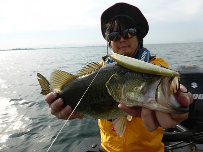 truth news ブログ写真 2014/10/11