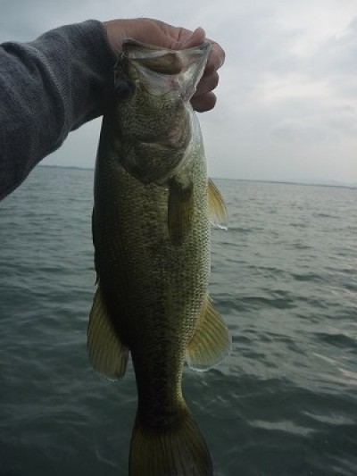 truth news ブログ写真 2014/10/12