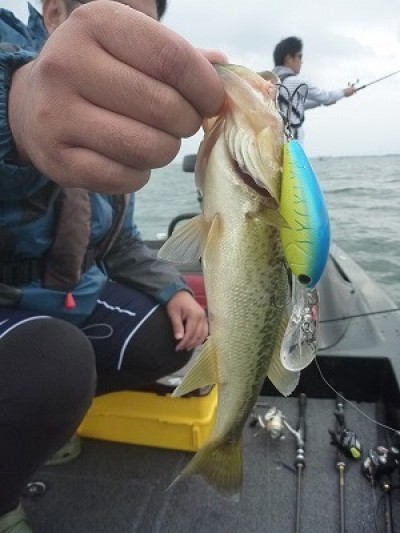 truth news ブログ写真 2014/10/12